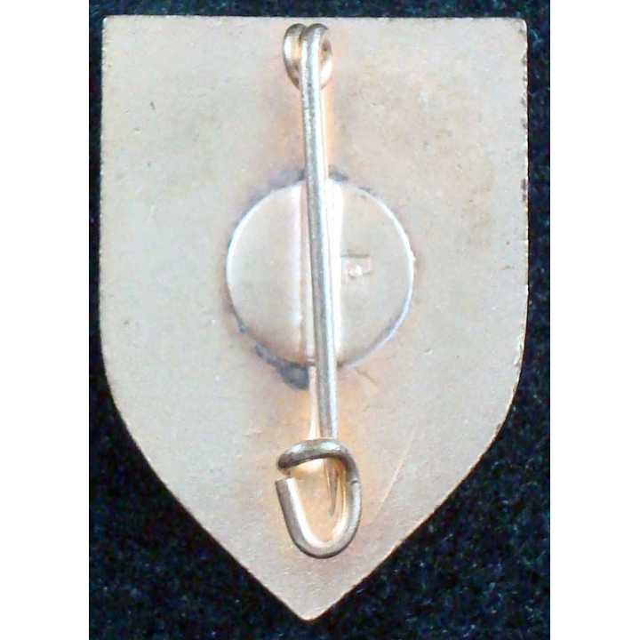 Insigne du 31° régiment de dragons Arthus poinçon en émail casque plat