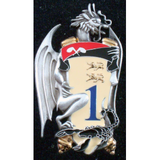 insigne du 1° escadron du 2° régiment de dragons NBC Delsart