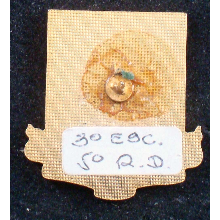 Insigne métallique du 3° escadron du 5° régiment de dragons