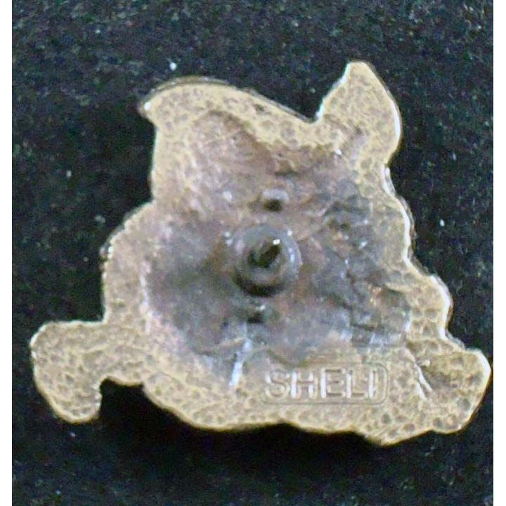 insigne de calot des équipes NEDEX du 3° régiment du génie Shéli