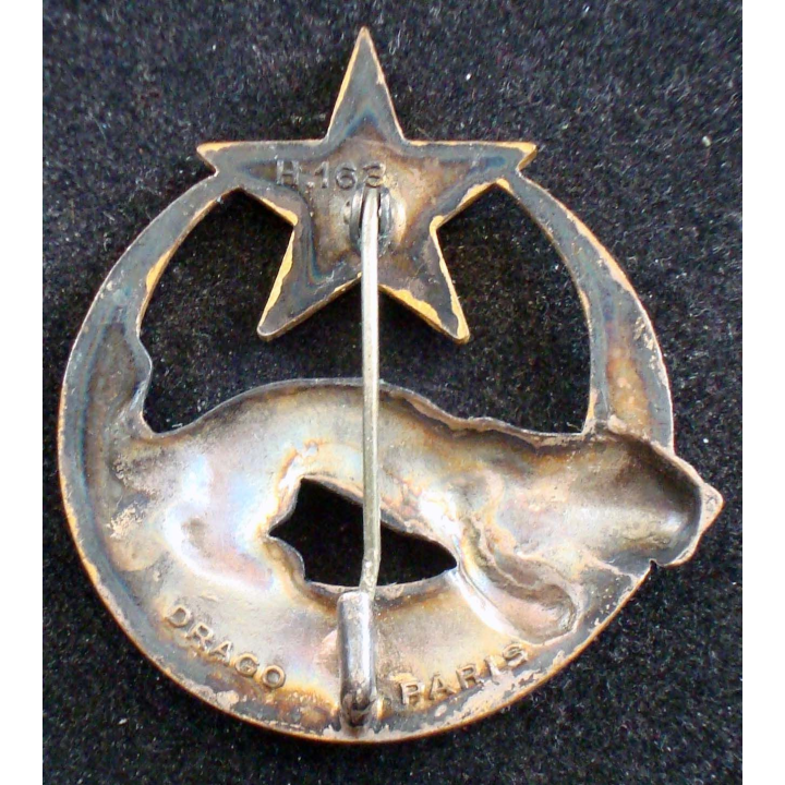Insigne du 3° régiment de spahis algériens Drago Paris H. 163