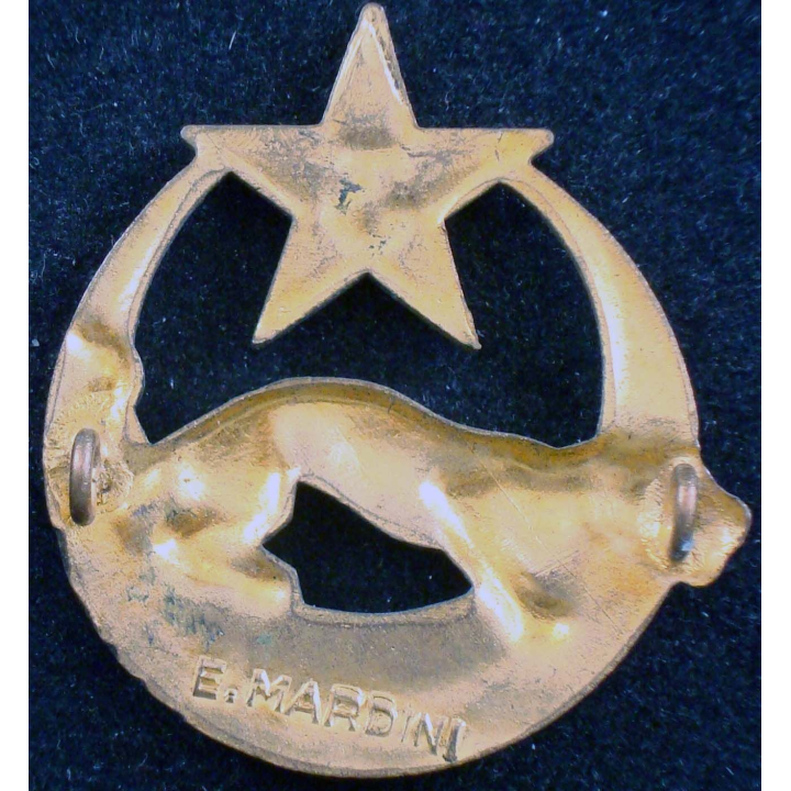 Insigne du 3° régiment de spahis algériens Mardini en émail