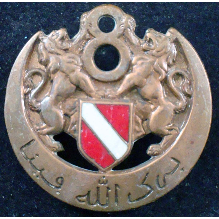 Insigne 8° régiment spahis algériens Arthus Bertrand devise en arabe