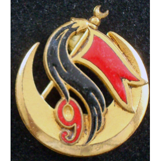 insigne du 9° groupe d'escadrons de spahis algériens Drago G.1424