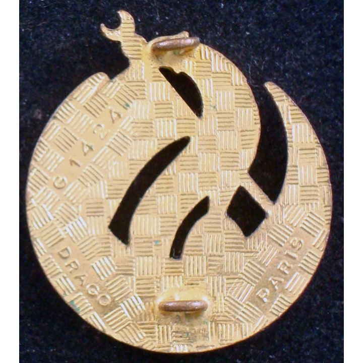 insigne du 9° groupe d'escadrons de spahis algériens Drago G.1424