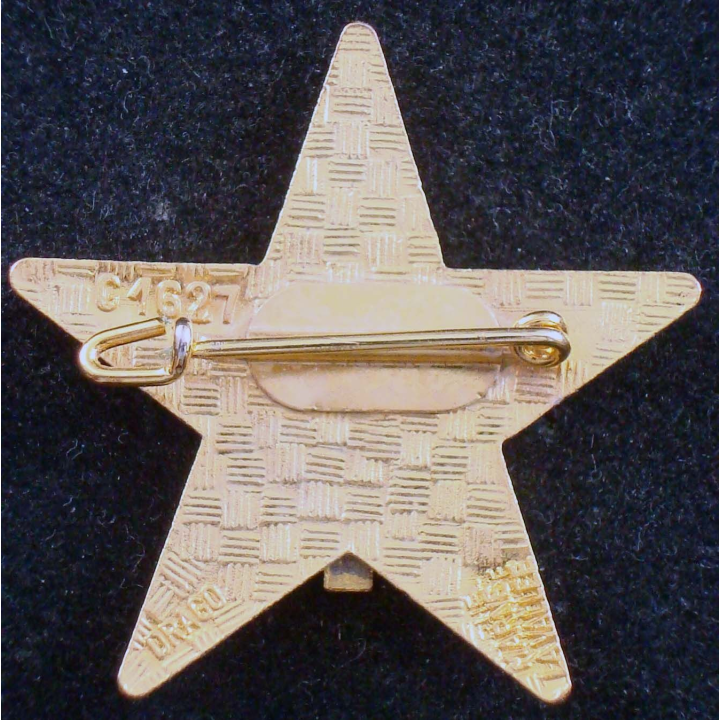 insigne du 1° régiment de spahis marocains Drago Noisiel G. 1627