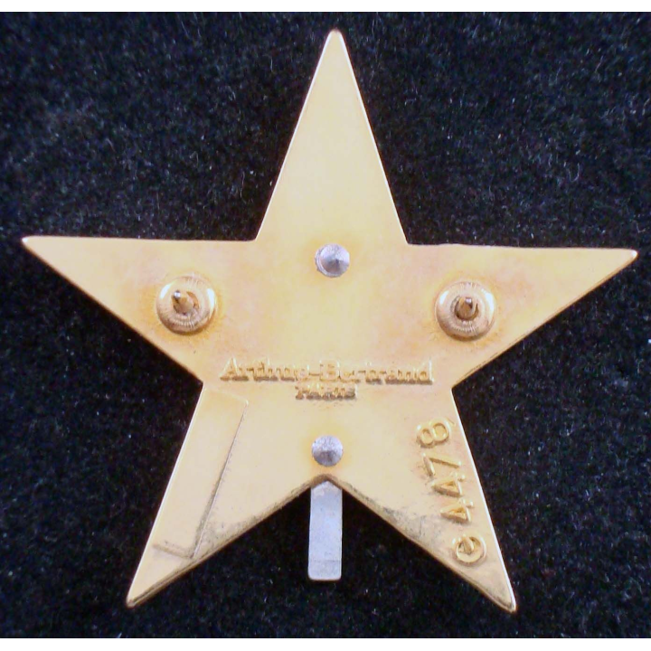 insigne du 1° régiment de spahis Arthus Bertrand G. 4478