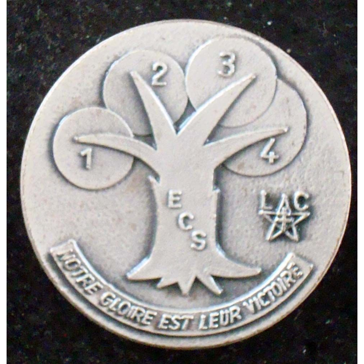 insigne de l'ECS du 1° régiment de spahis de fabrication FIA
