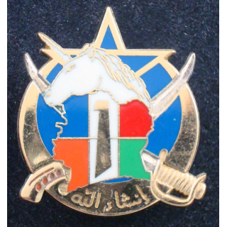 1° escadron du 1° régiment de spahis opération Licorne Arthus Bertrand