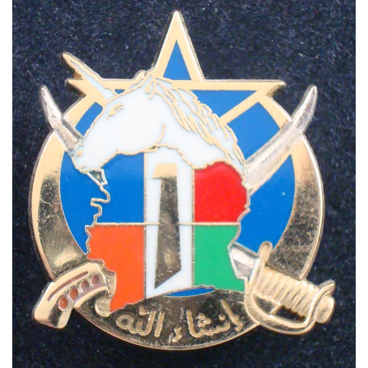 1° escadron du 1° régiment de spahis opération Licorne Arthus Bertrand