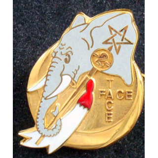 Insigne du 2° escadron du 1° régiment de spahis en RCA Drago n° 140