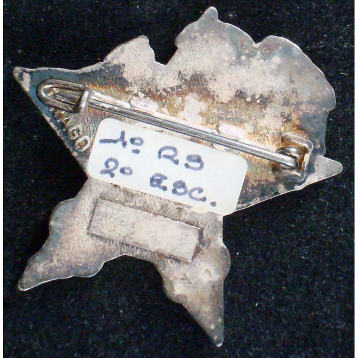 Insigne du 2° escadron du 1° régiment de spahis en Nouvelle Calédonie