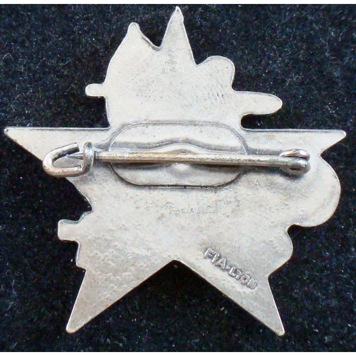 Insigne du 4° escadron anti chars du 1° régiment de spahis FIA