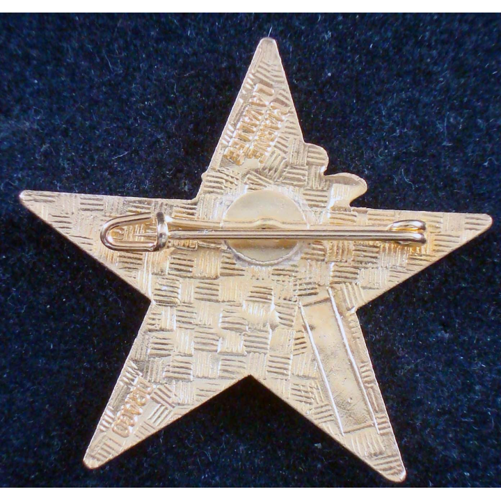 Insigne du 4° escadron anti chars du 1° régiment de spahis Drago MLV