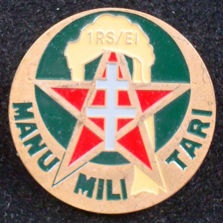 Insigne de l'escadron d'instruction du 1° régiment de spahis Insignia
