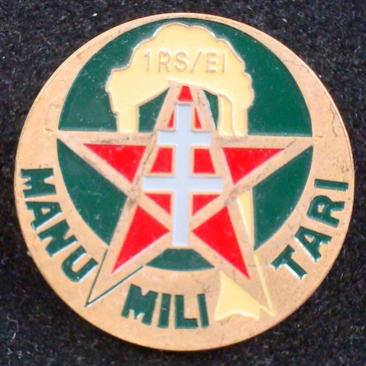 Insigne de l'escadron d'instruction du 1° régiment de spahis Insignia