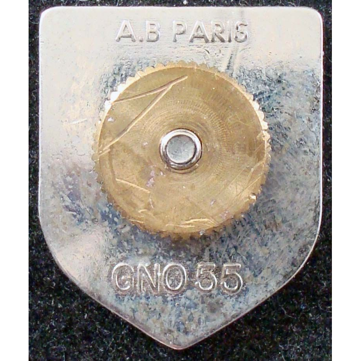 écu de la gendarmerie de la Martinique de fabrication A.B Paris GNO 55