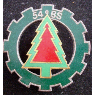 Insigne du 54° bataillon des services Drago Paris G. 1589