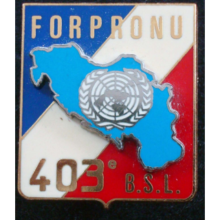 Insigne du 403° bataillon de soutien logistique Delsart G. 3949.