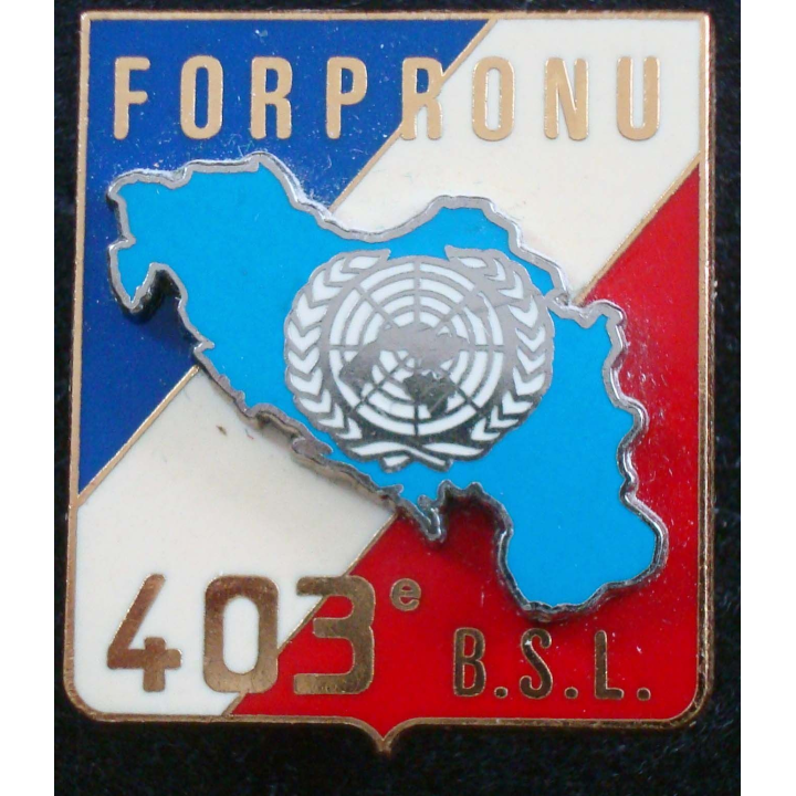 Insigne du 403° bataillon de soutien logistique Delsart G. 3949.