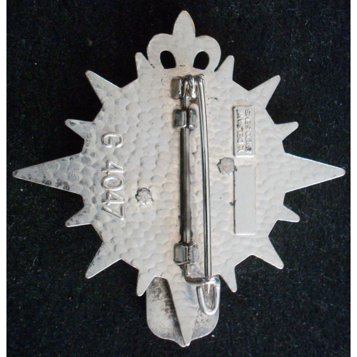 Insigne du 602 RCR régiment de circulation routière Delsart G. 4047