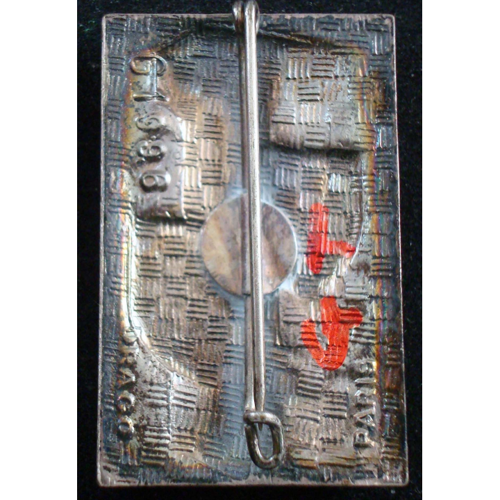Insigne du 508° régiment du train Drago Paris G. 1996