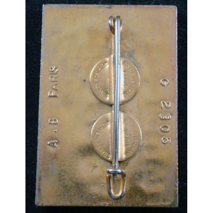 Insigne du 404° bataillon de commandement et des services A.B G. 2305