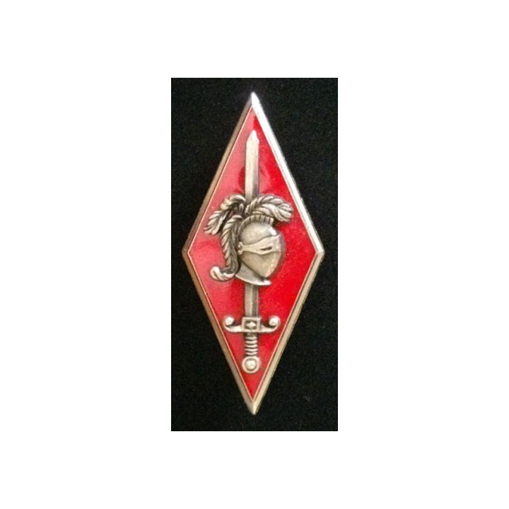 10°DB/63°DMT : 10°DIVISION BLINDÉE 63°DIV MILITAIRE TERRITORIALE