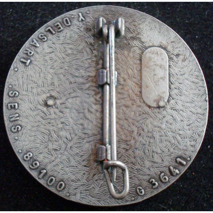 Insigne du 120° régiment du train G. 3641
