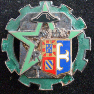 Insigne du 7° régiment du train Drago G. 1598