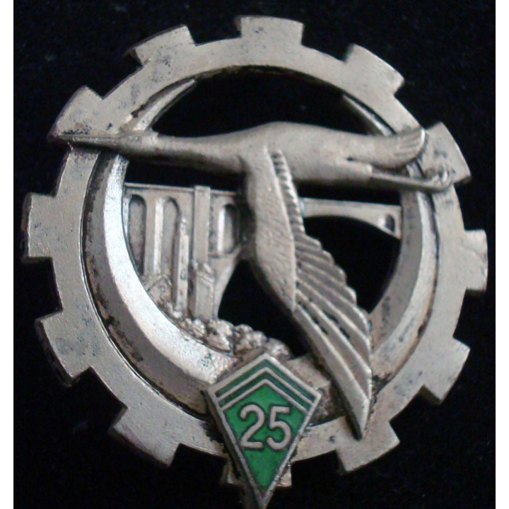 Insigne métallique du 25° escadron du train Drago H. 231