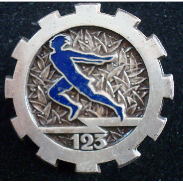 Insigne métallique du 123° escadron de réserve générale du train.