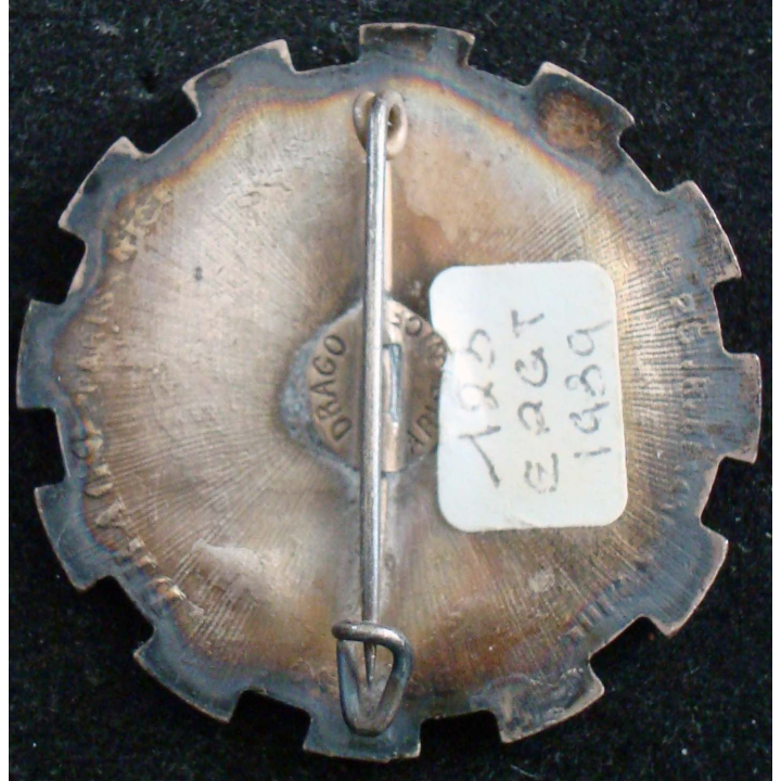 Insigne métallique du 123° escadron de réserve générale du train.