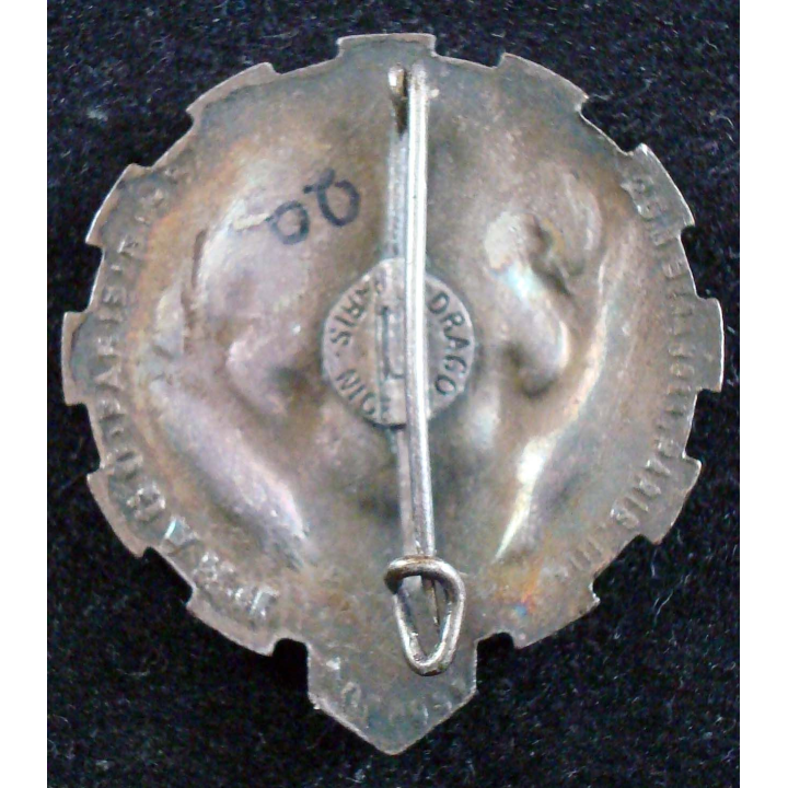 Insigne métallique du 8° esc (régional) du train Drago Béranger