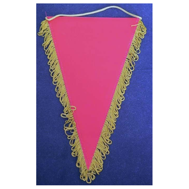 fanion de la 3° section de la 2° cie du 1° régiment étranger du génie