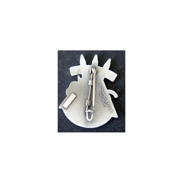 insigne tissu et métallique des démineurs de la sécurité civile