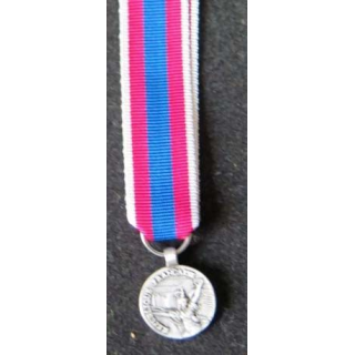 Cette médaille miniature de la défense nationale est de grade argent