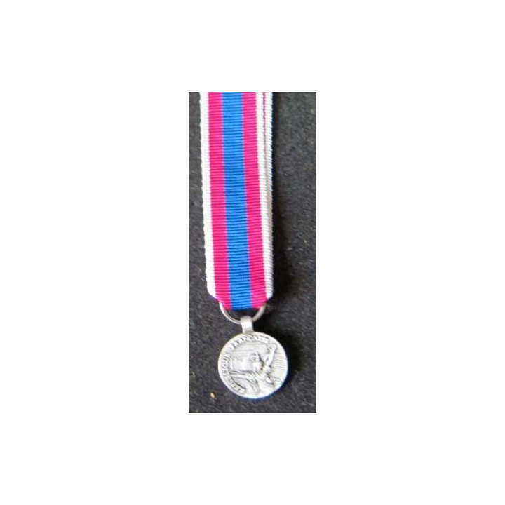 Cette médaille miniature de la défense nationale est de grade argent