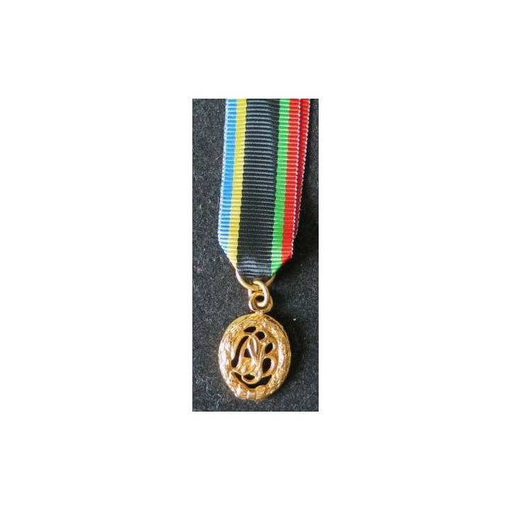 Médaille miniature des sports allemande de grade or