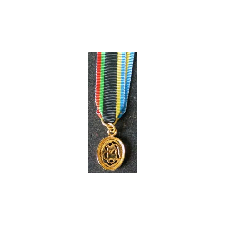 Médaille miniature des sports allemande de grade or