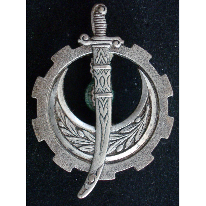 Insigne du Commandement du Train et Transport Afrique du Nord CTT AFN