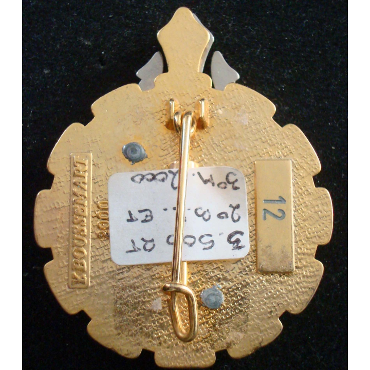 Insigne 3° Escadron transport 503° régimentrain au Kosovo 3° mandat