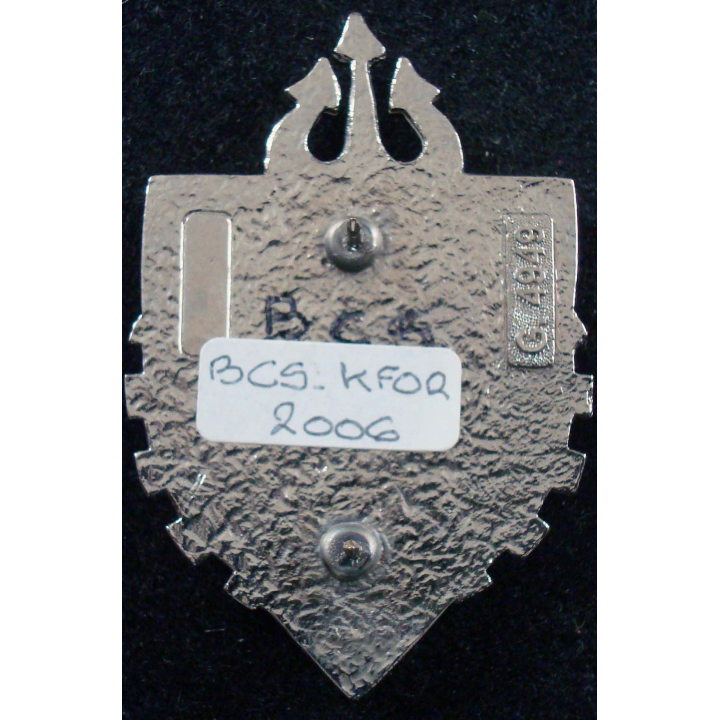 BCS KFOR Bataillon de Commandement et de Soutien G. 4949