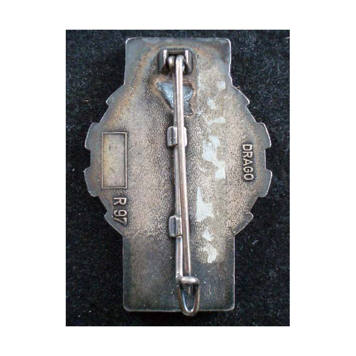 516° GT 516° Groupe de Transport DRAGO crest insigna