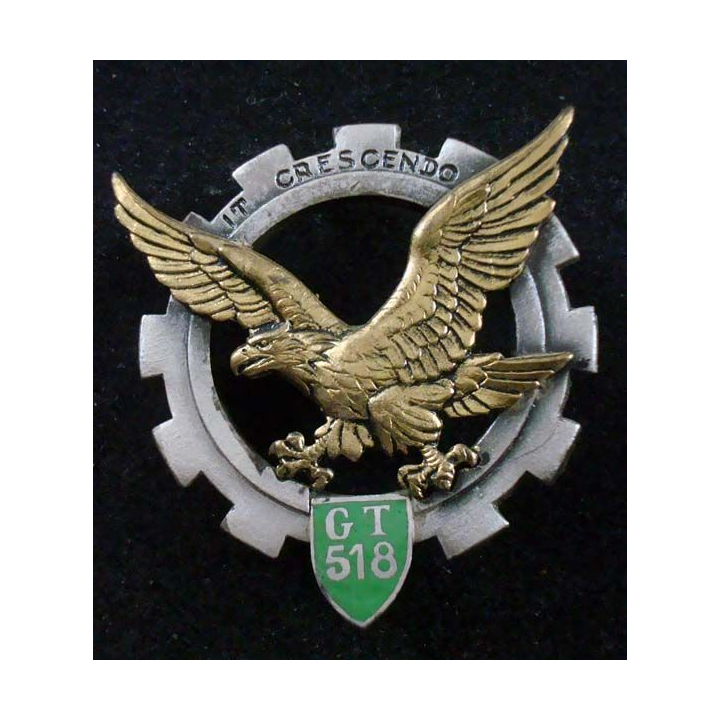 518° GT 5180° Groupe de Transport DRAGO PARIS G. 1395 crest insigna