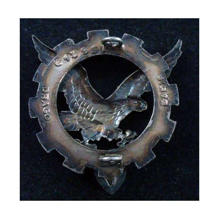 518° GT 5180° Groupe de Transport DRAGO PARIS G. 1395 crest insigna