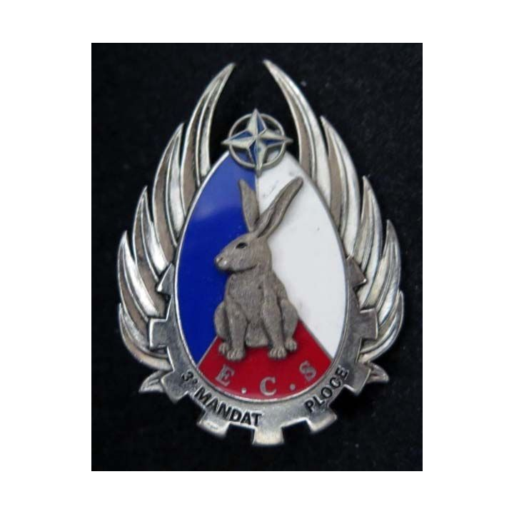 Insigne de l'ECS du Bat Français de Soutien IFOR BOUSSEMART