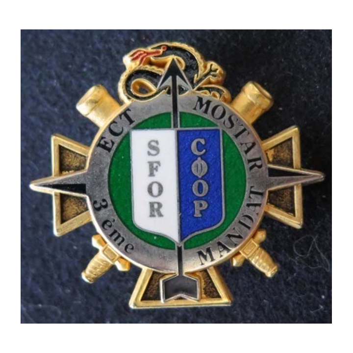 Insigne de de l'Escadron de Circulation et Transport du RFS SFOR JMM