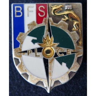 Insigne du Bataillon Français de Soutien IFOR LR PARIS