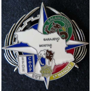 Insigne de l'Escadron Circulation et Transport du RCS SFOR DELSART